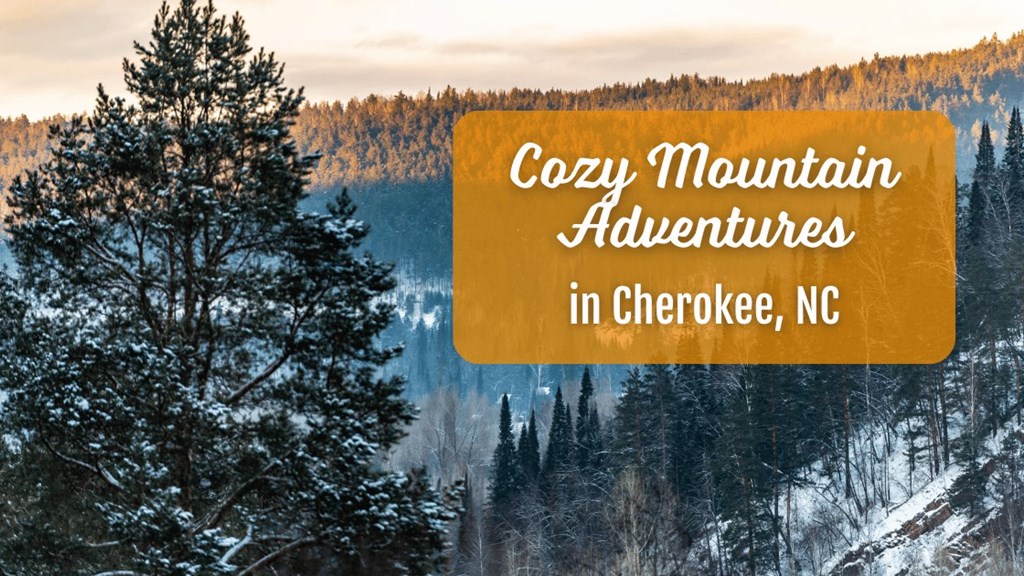 Cozy Mountain Adventures in Cherokee, NC