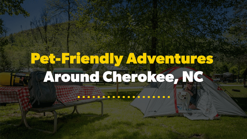 Pet-Friendly Adventures Around Cherokee, NC