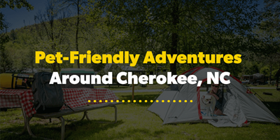 Pet-Friendly Adventures Around Cherokee, NC