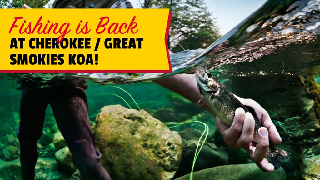 Fishing is Back at Cherokee / Great Smokies KOA
