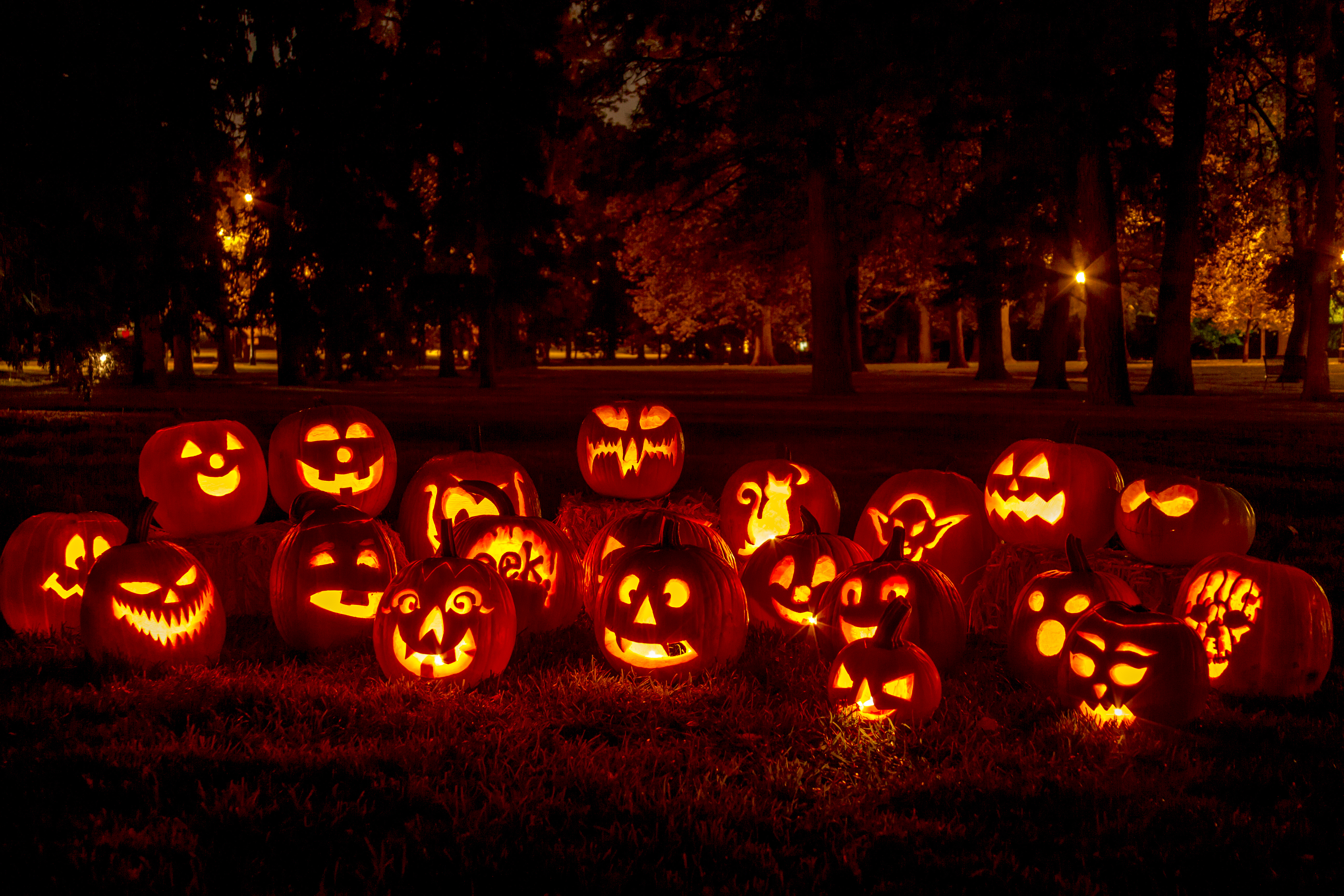 Halloween Weekend #1 Photo