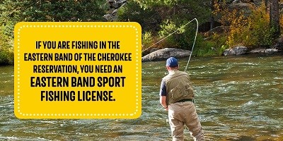 Learn how to start fishing in Cherokee, NC