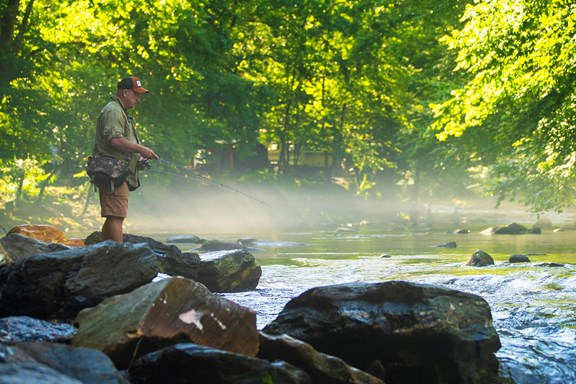 Come Fish with Us