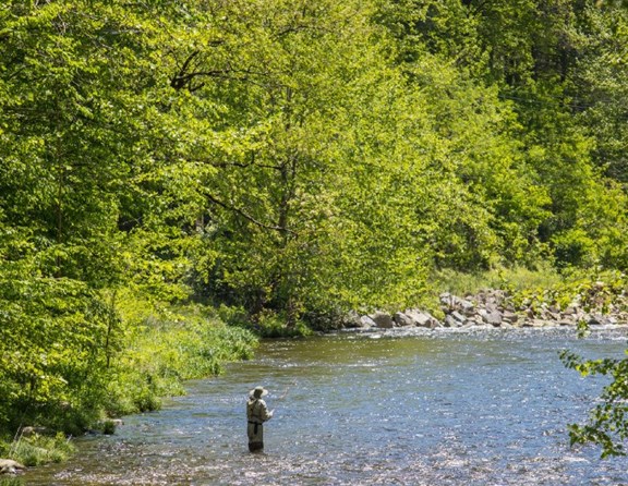 Fishing the Raven Fork River