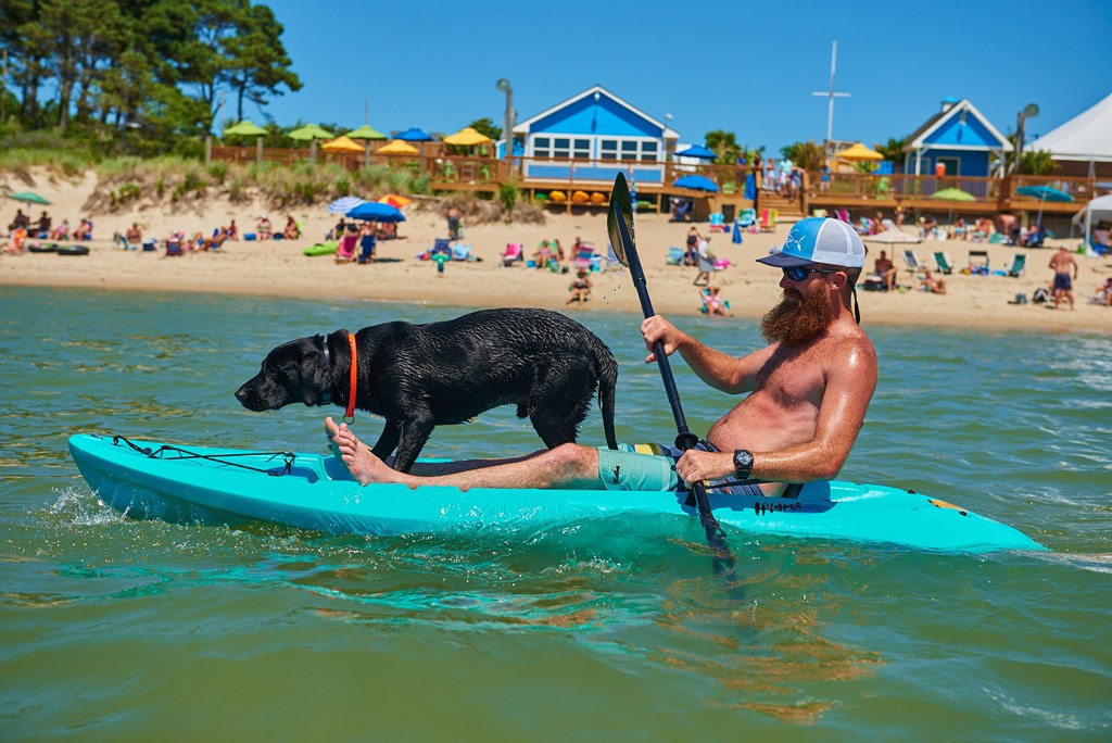 Fun for Your Pup at Chesapeake Bay KOA