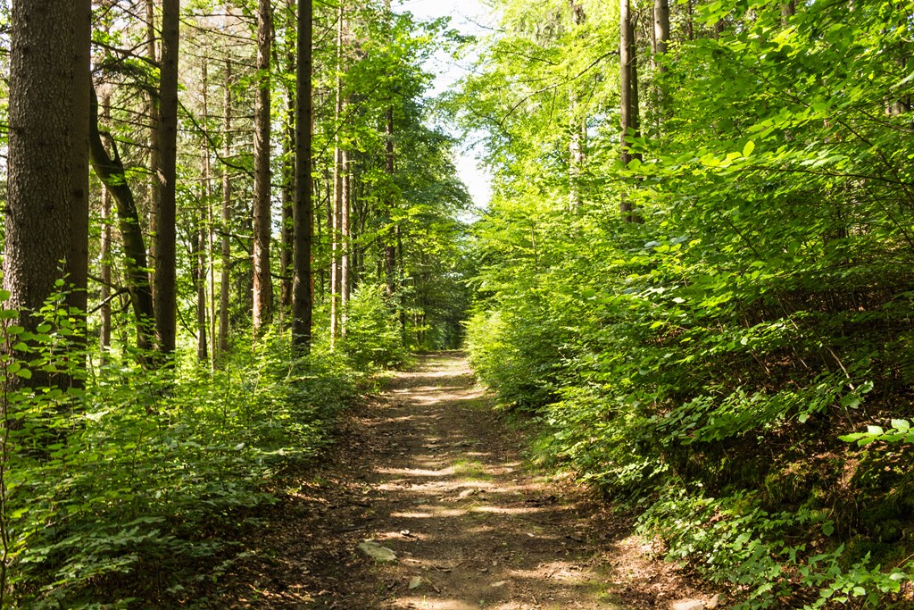 Parks to Visit Near Cape Charles