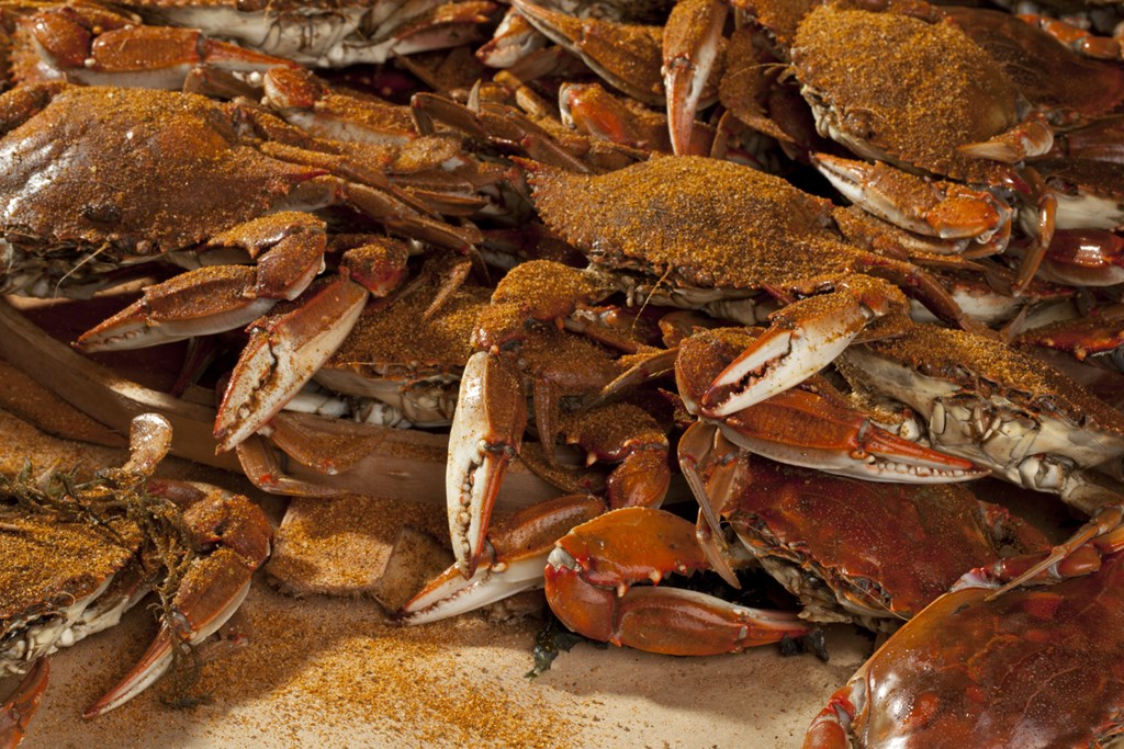 Can't Miss Events in Cape Charles