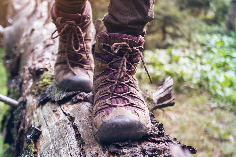 Hikes Near Cape Charles