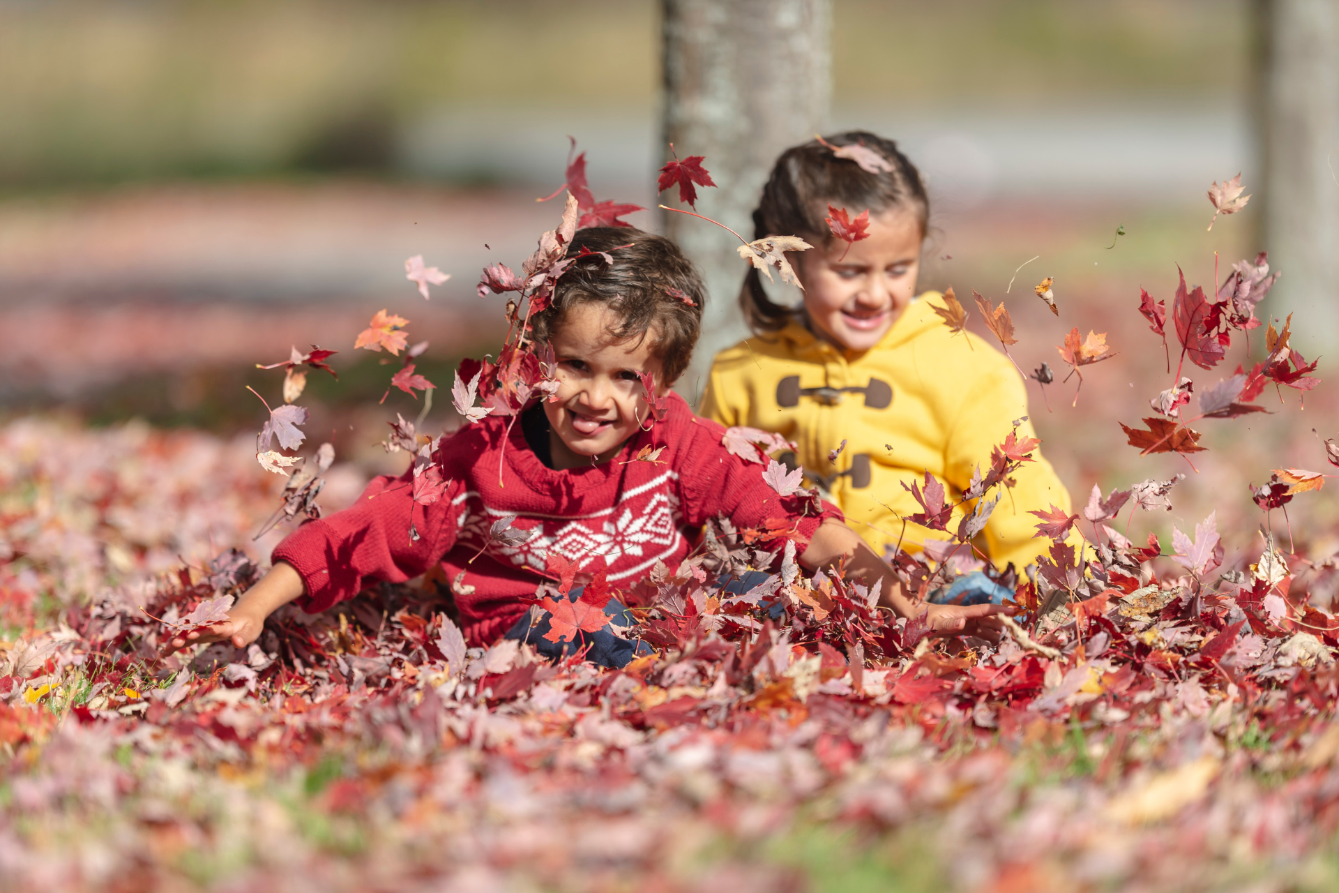 Fall into Camping - Photo 2