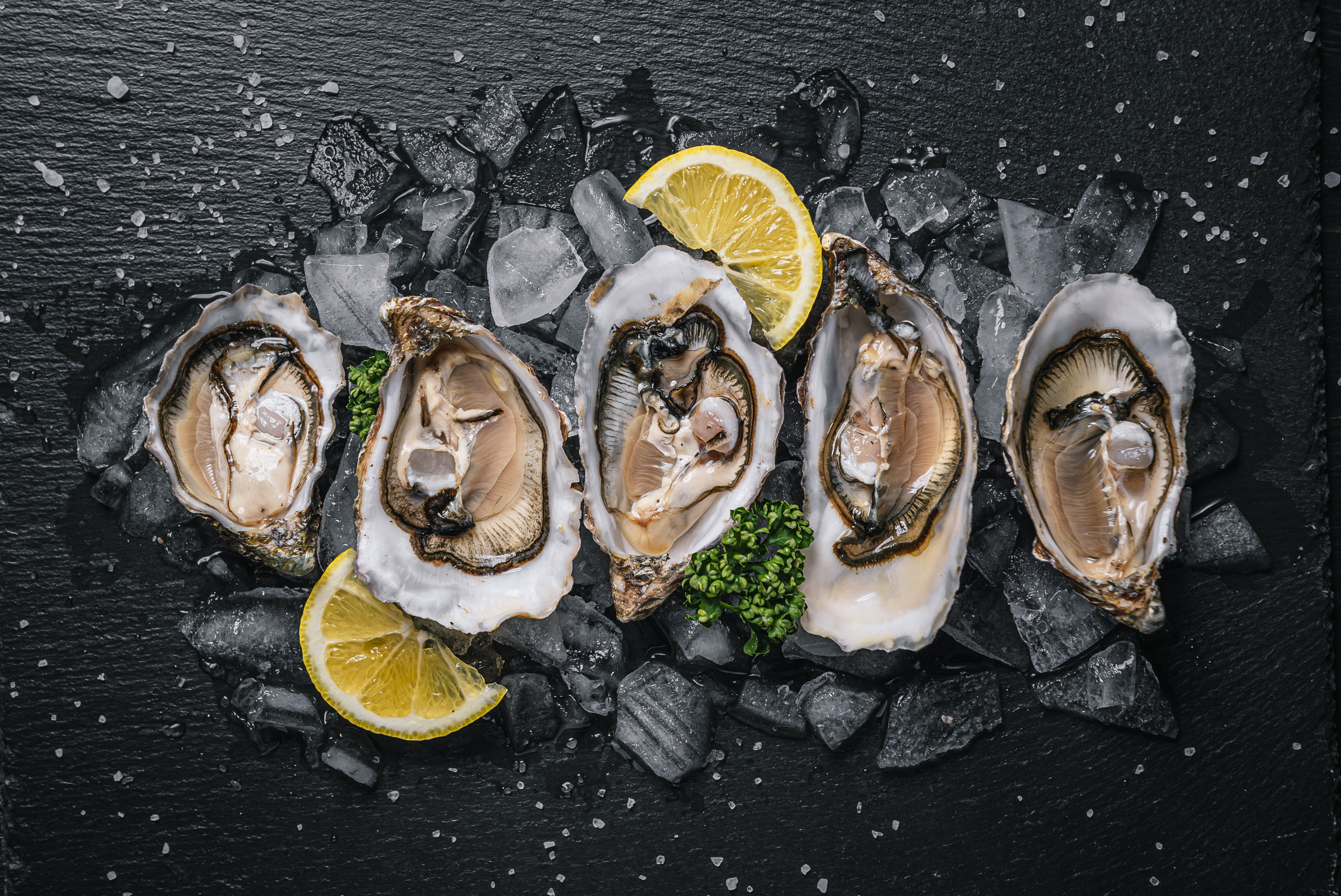 Oyster Festival Photo
