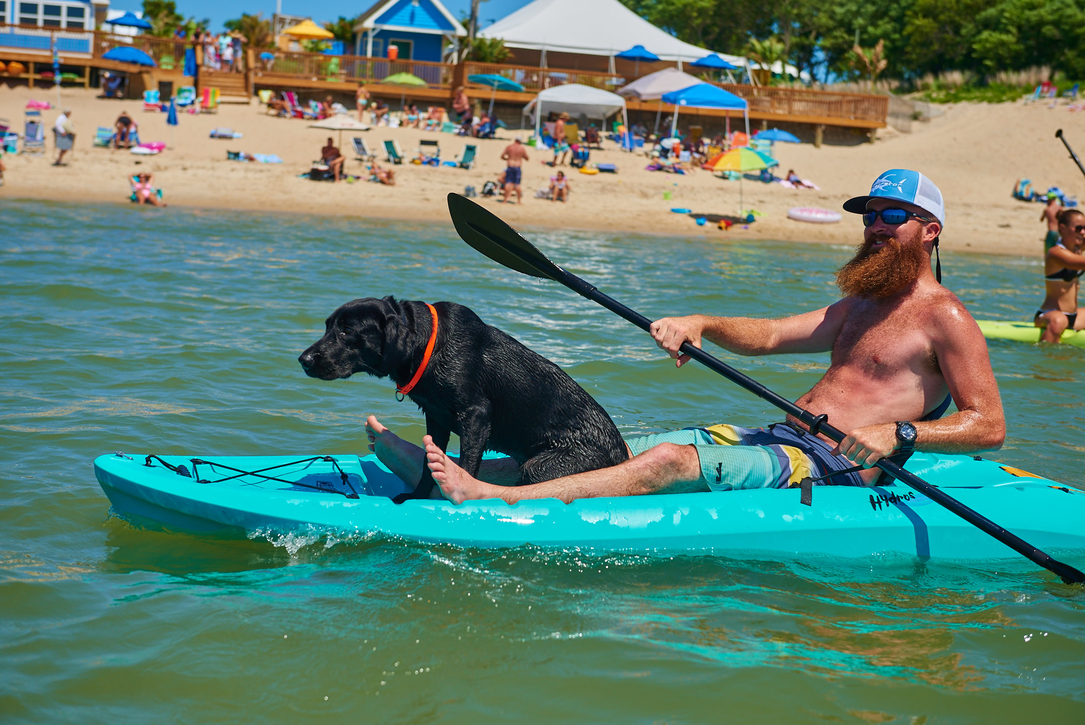 Pet Lovers Week - Photo 2