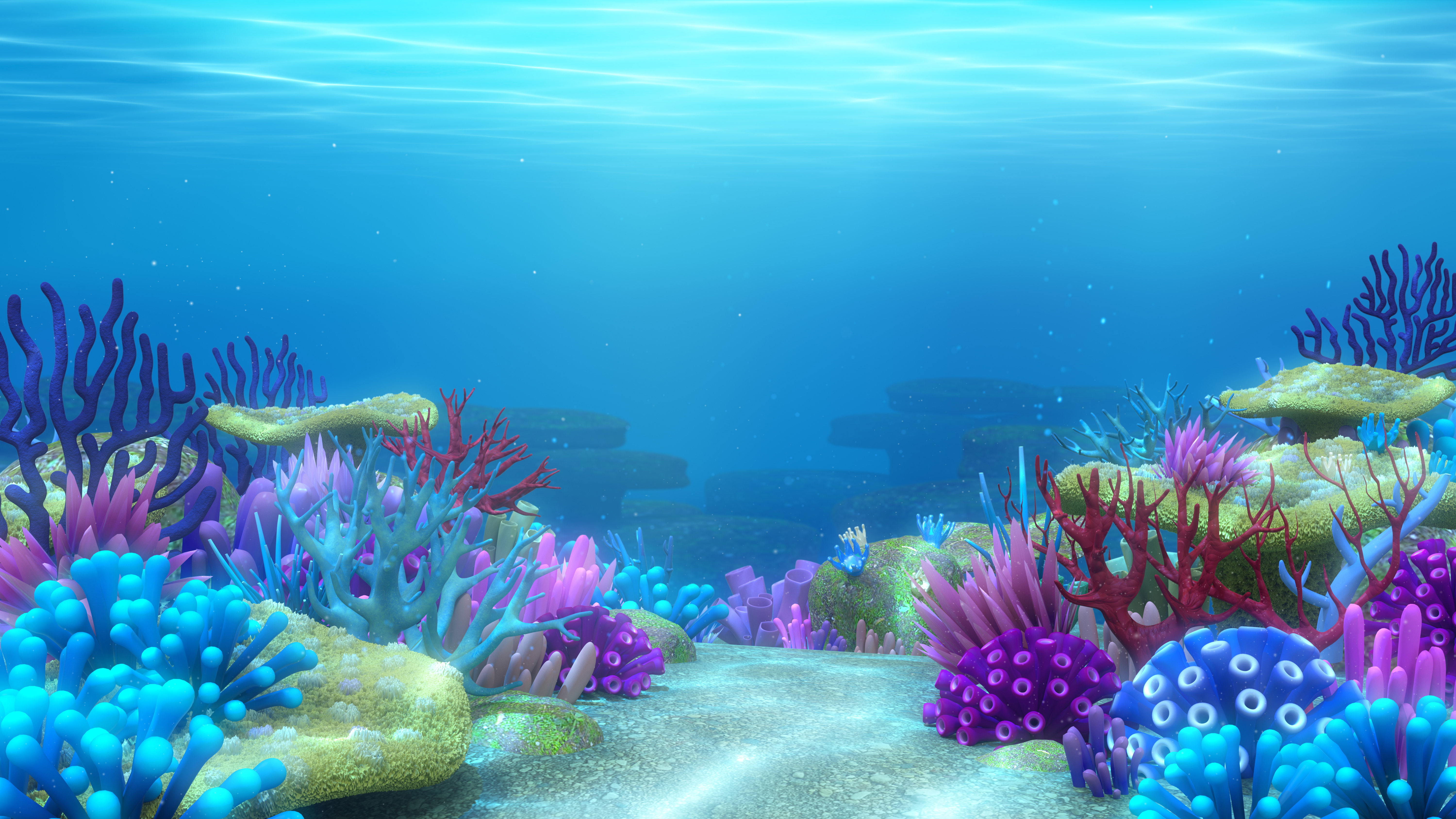 Under the Sea Week Photo
