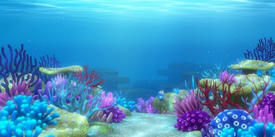 Under the Sea Week
