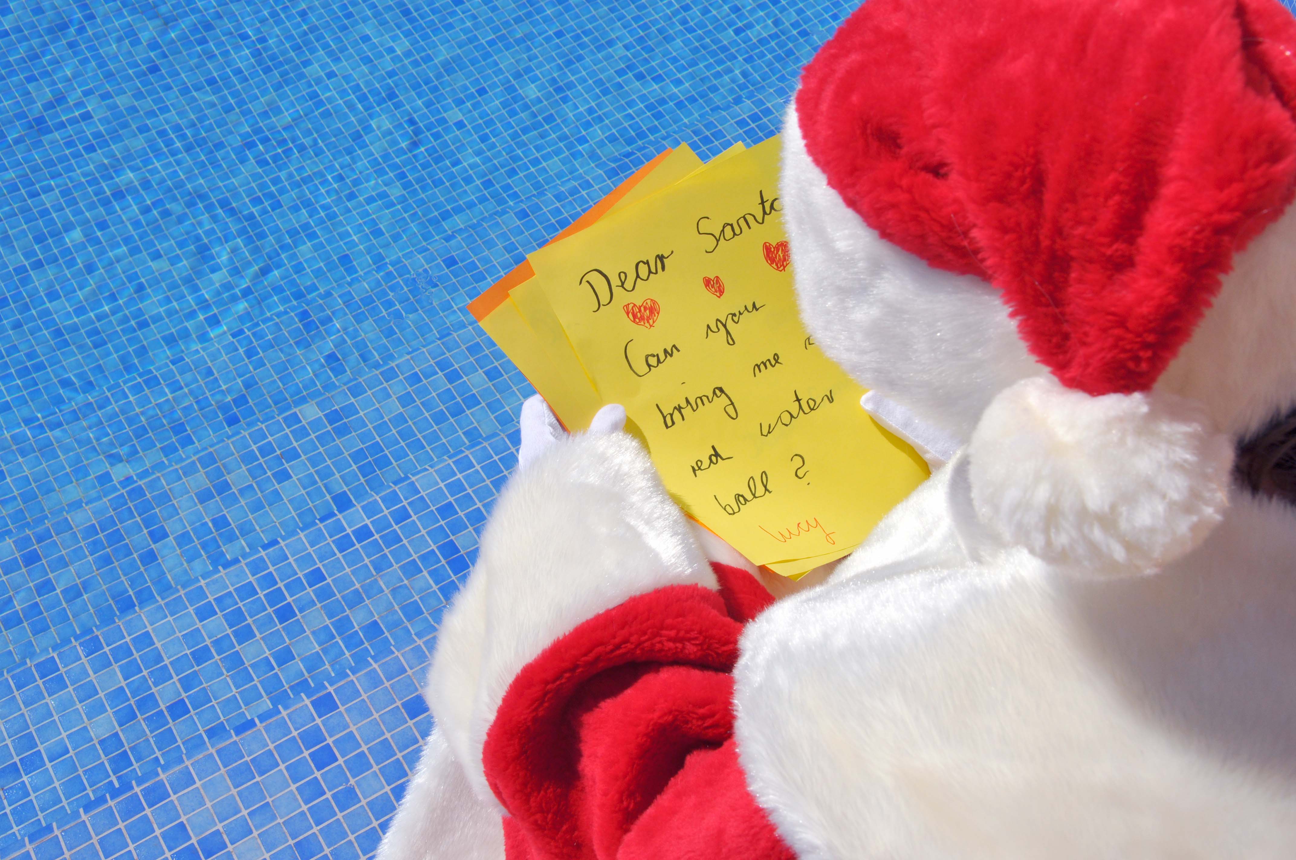 The North Pole Pop-Up Photo