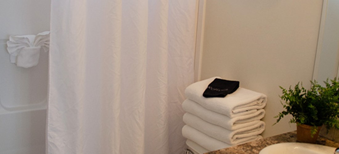 Deluxe Cabin Bathroom