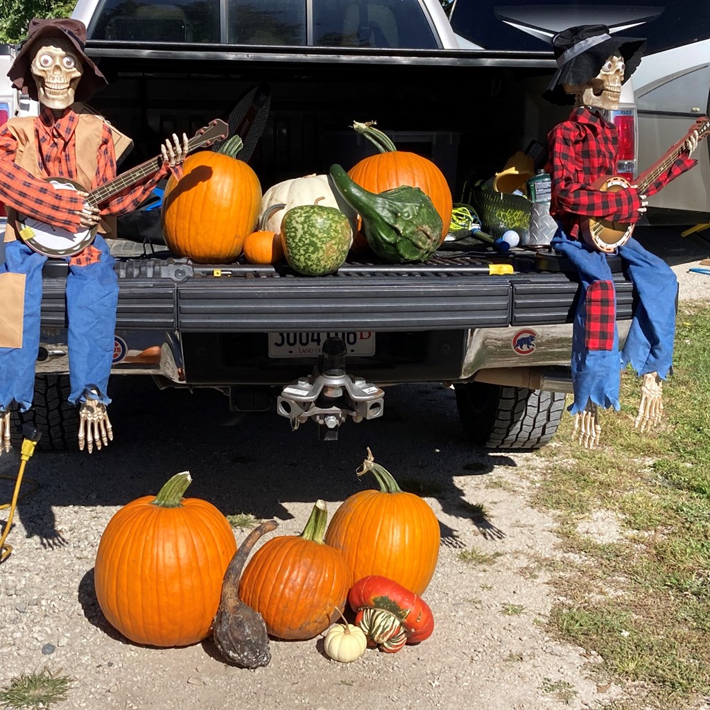 Star Gazing and Fall Fests coming up