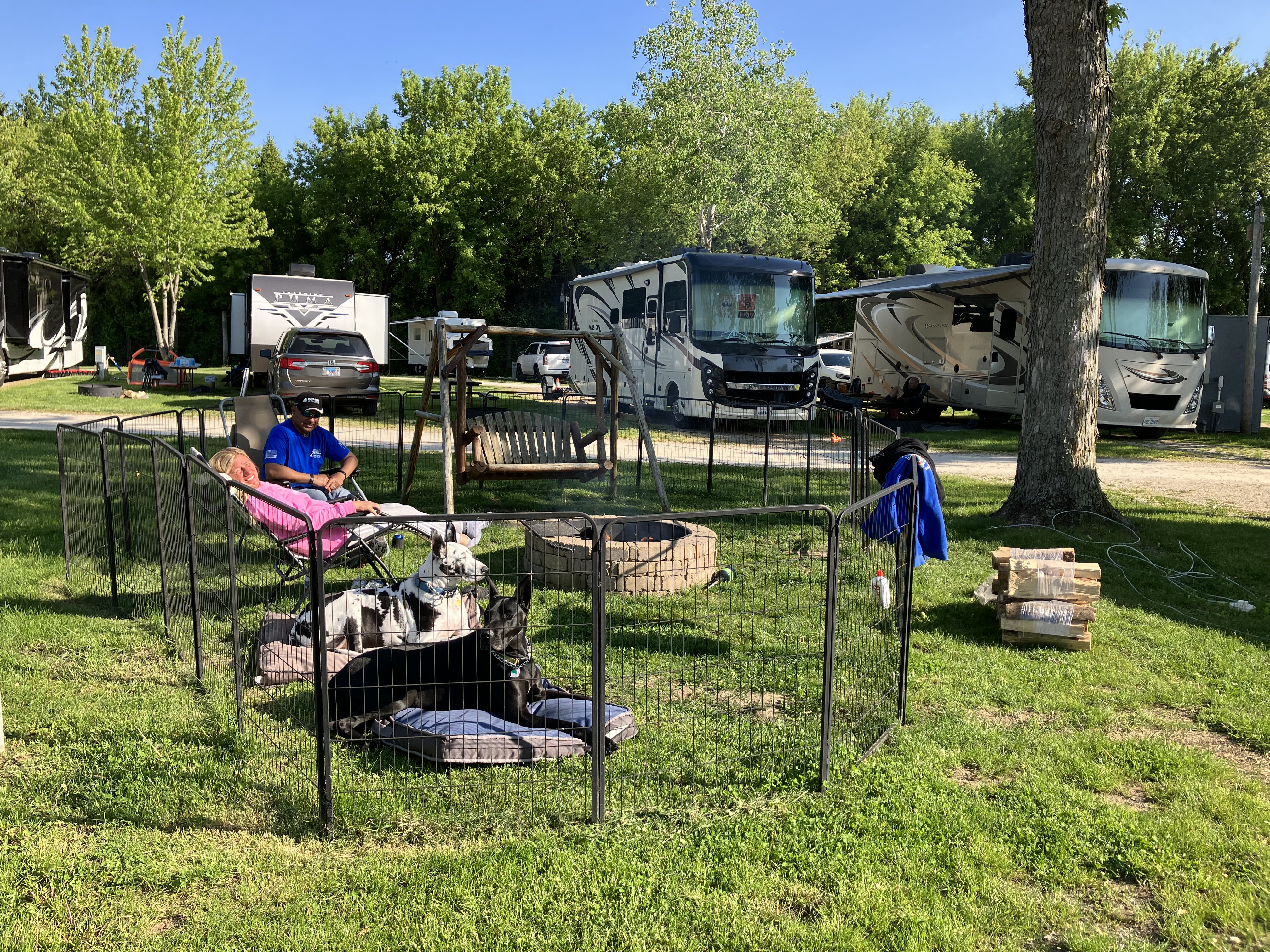 Boone County Fair - August 6-11, 2024 Photo