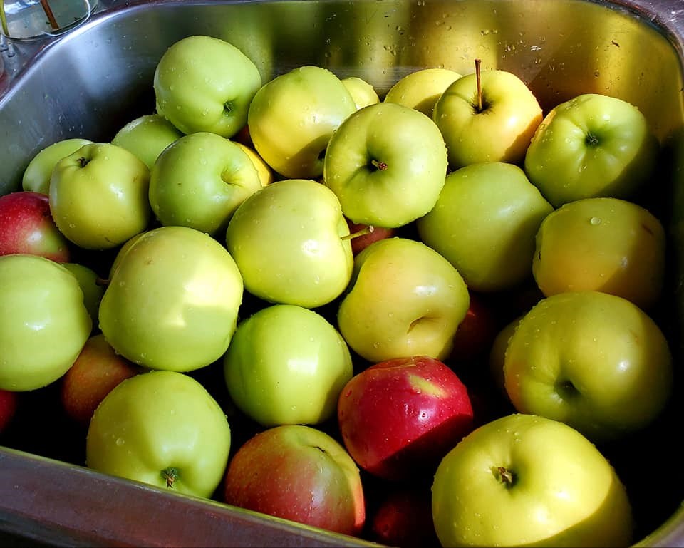 Apple Fest Weekend