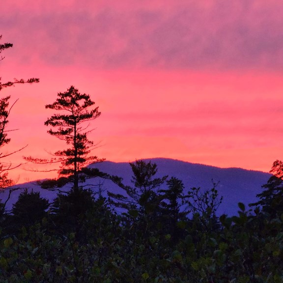 Plan a trip to Porter, Maine