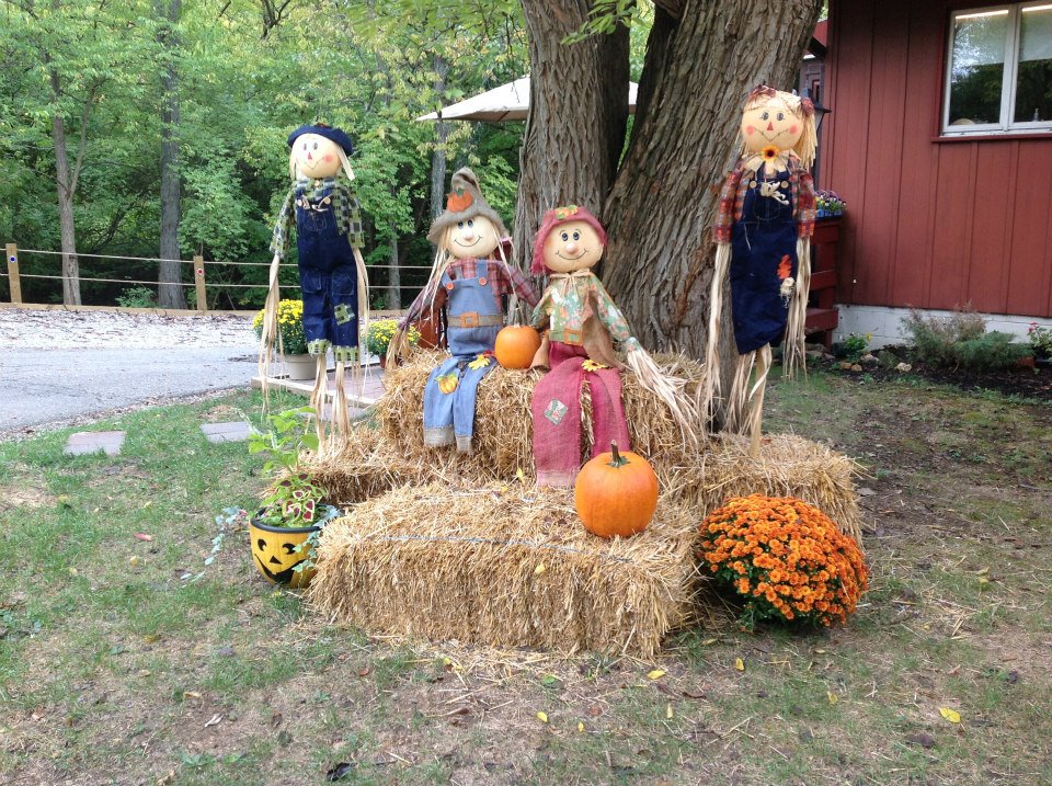 Halloween Weekends Photo