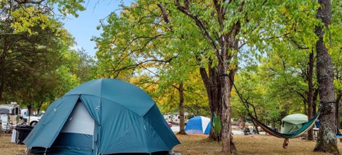 Tent site, Grassy area with electric