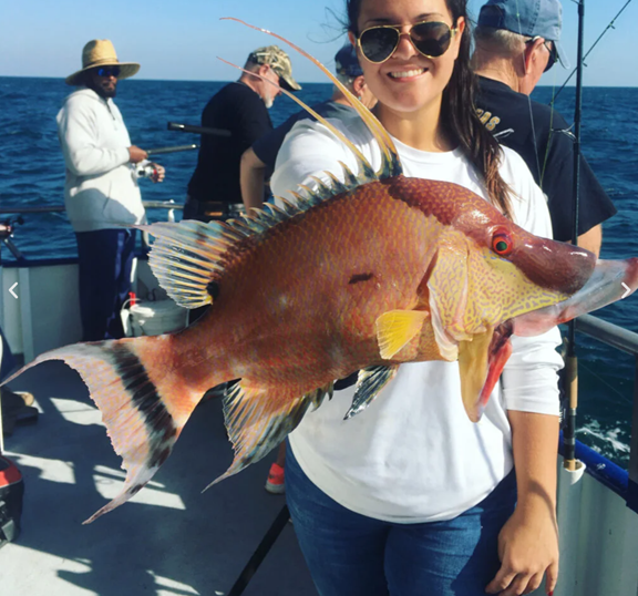 Reel Fun Awaits: Deep Sea Fishing with Hubbard's Marina!