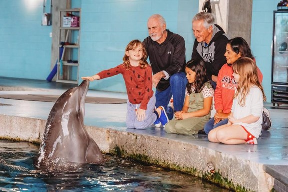 Clearwater Marine Aquarium