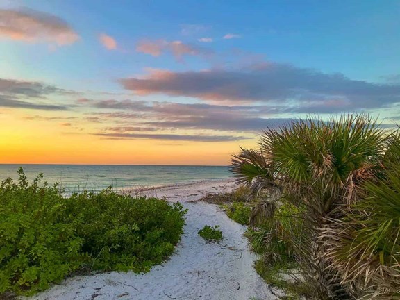Honeymoon Island State Park