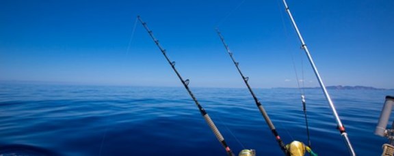 Beach and Fishing Charters