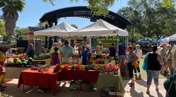 Local Flavor and Fun: A Day at the Dunedin Downtown Market!