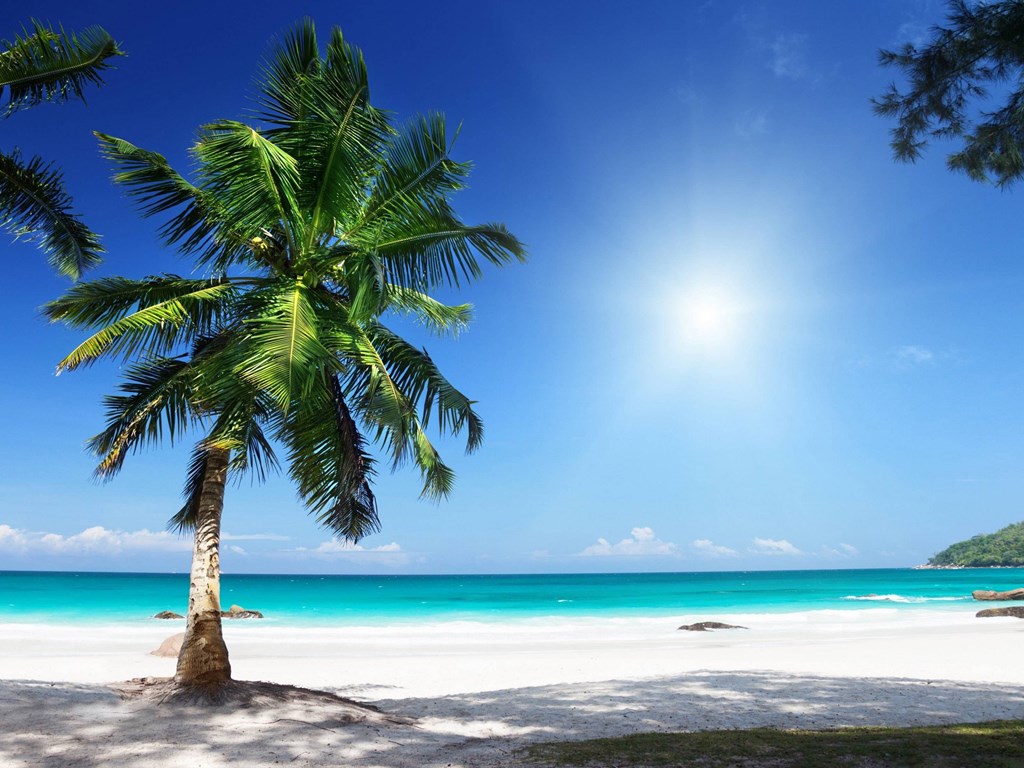 Surviving and Thriving: Summer Camping in the Florida Heat