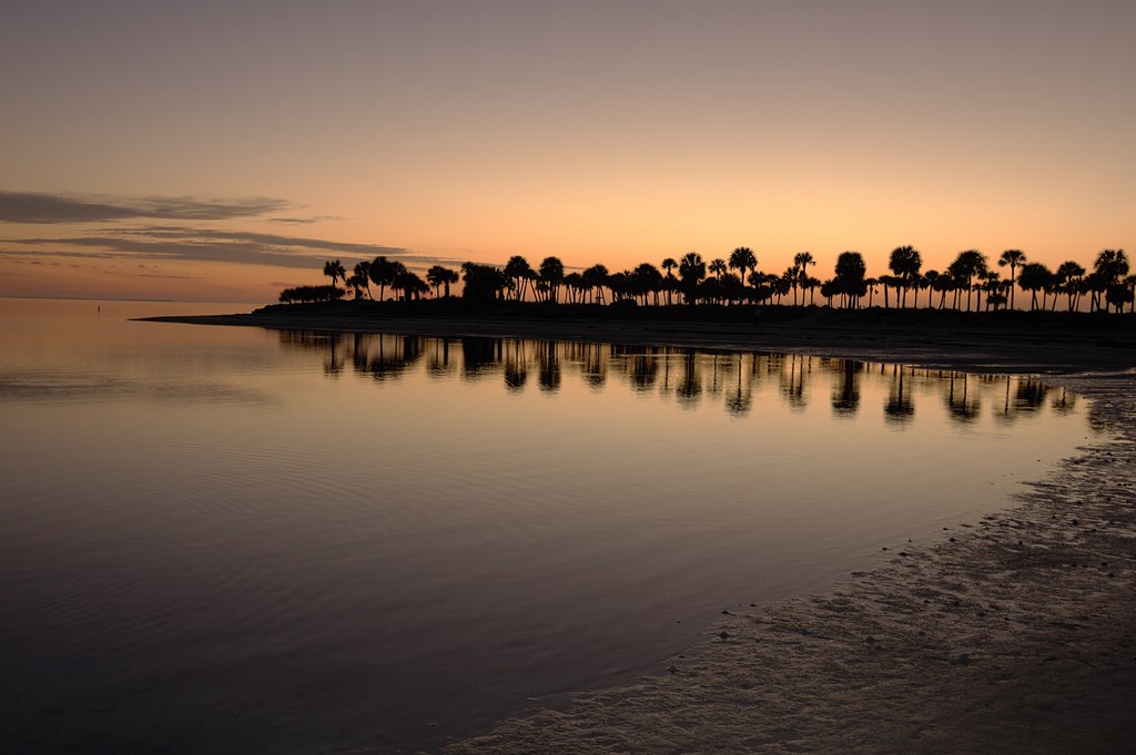 Summer Camping Near Clearwater: How to Beat the Florida Heat