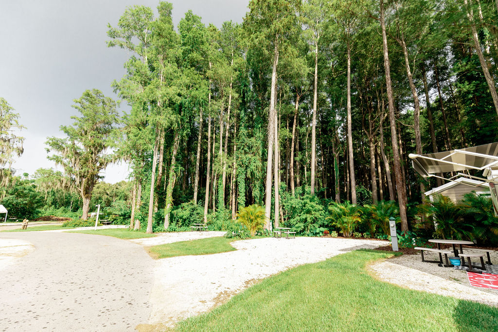 Palm Harbor, Florida RV Camping Sites Clearwater / Lake Tarpon KOA