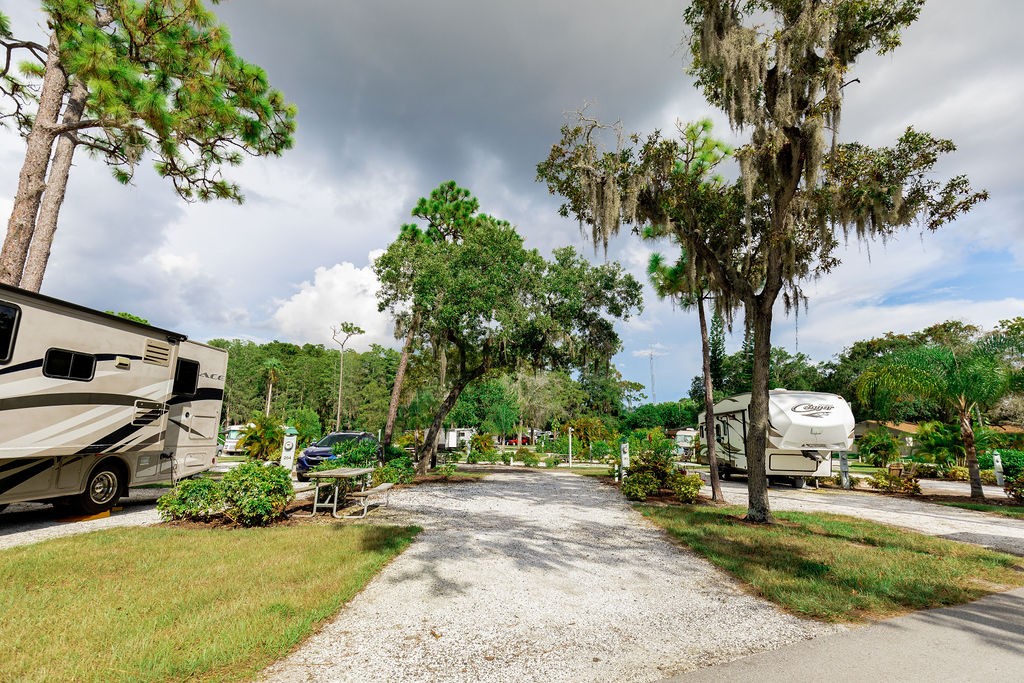 Palm Harbor, Florida RV Camping Sites Clearwater / Lake Tarpon KOA
