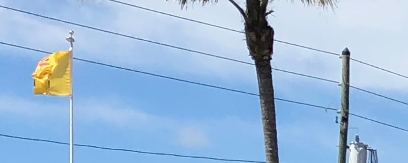 Palm Harbor Florida Campground Clearwater Lake Tarpon Koa