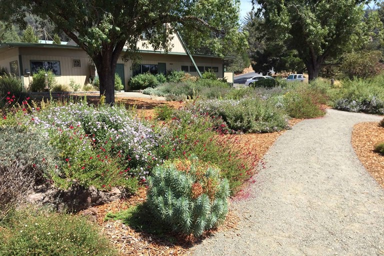 Grounds Picture Of Russian River Rv Campground Cloverdale Tripadvisor