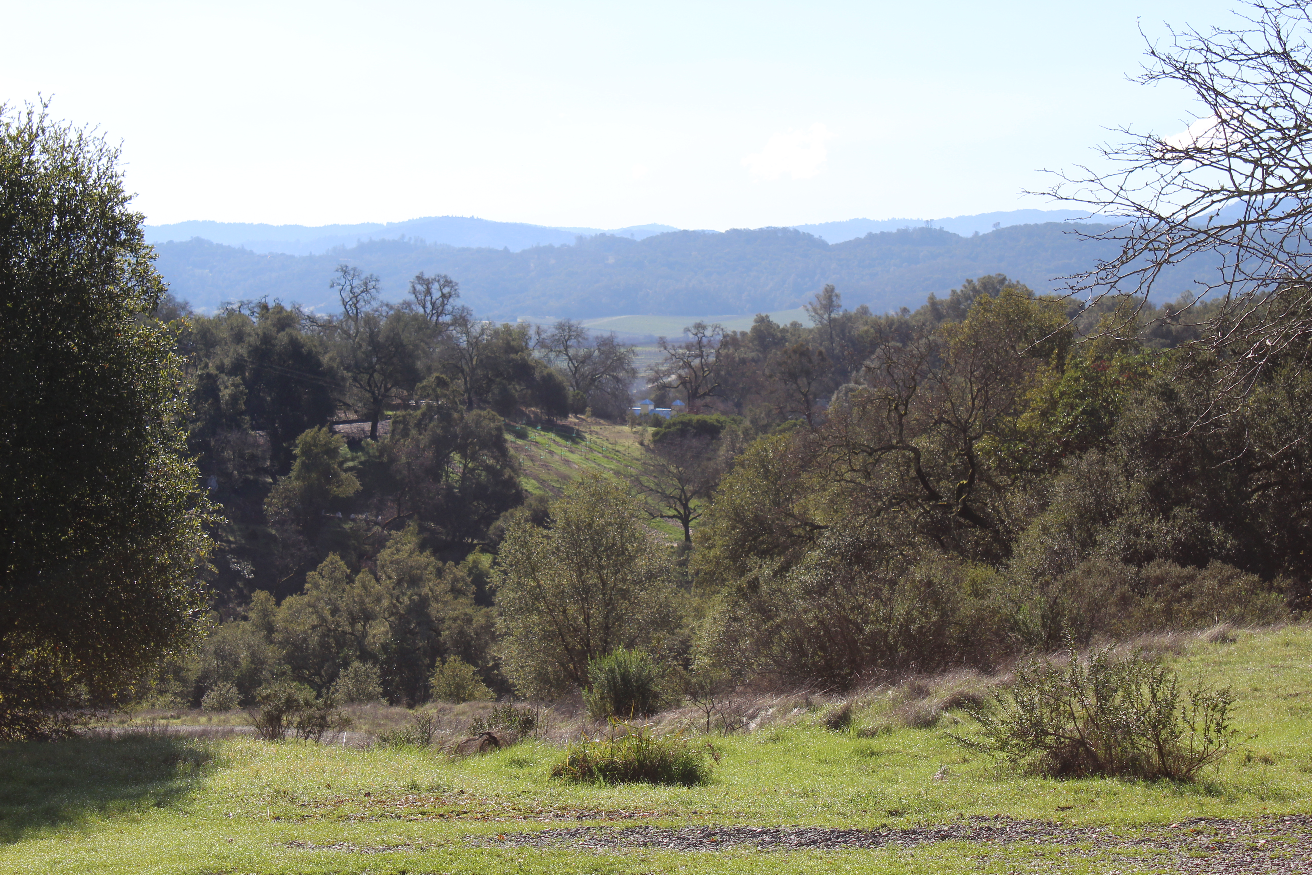 Cloverdale, California Lodging Cloverdale / Healdsburg KOA