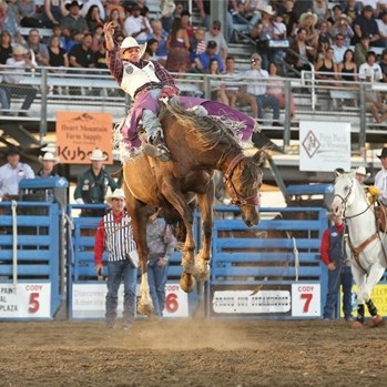 Cody Nite Rodeo