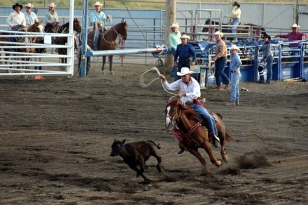 Cody Nite Rodeo Photo