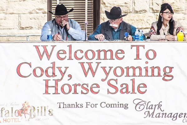 Cody Country Horse Sale Photo