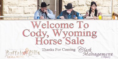 Cody Country Horse Sale