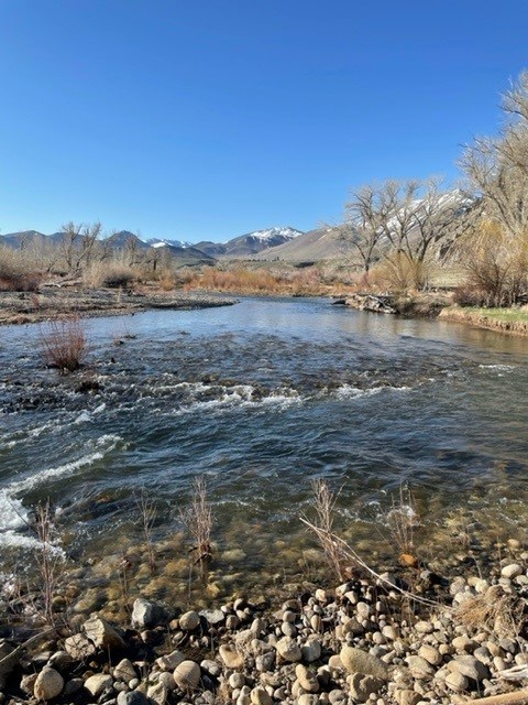 Fishing on the West Walker River