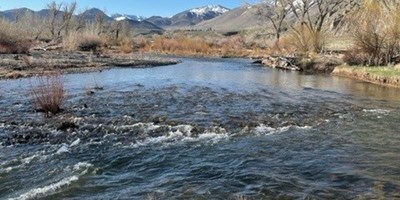 Fishing on the West Walker River