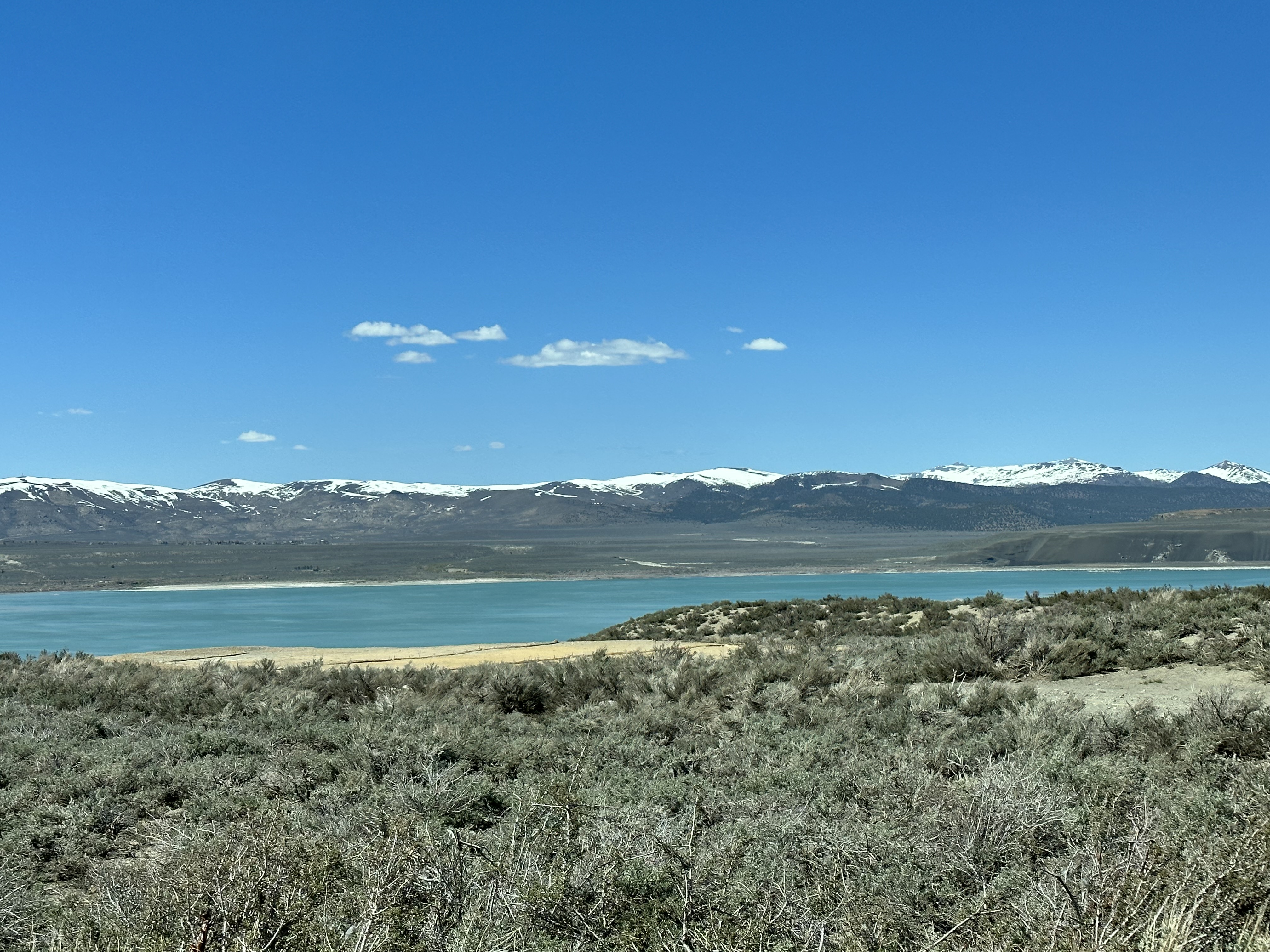Mono Lake Inland Sea & Bird sanctuary Photo
