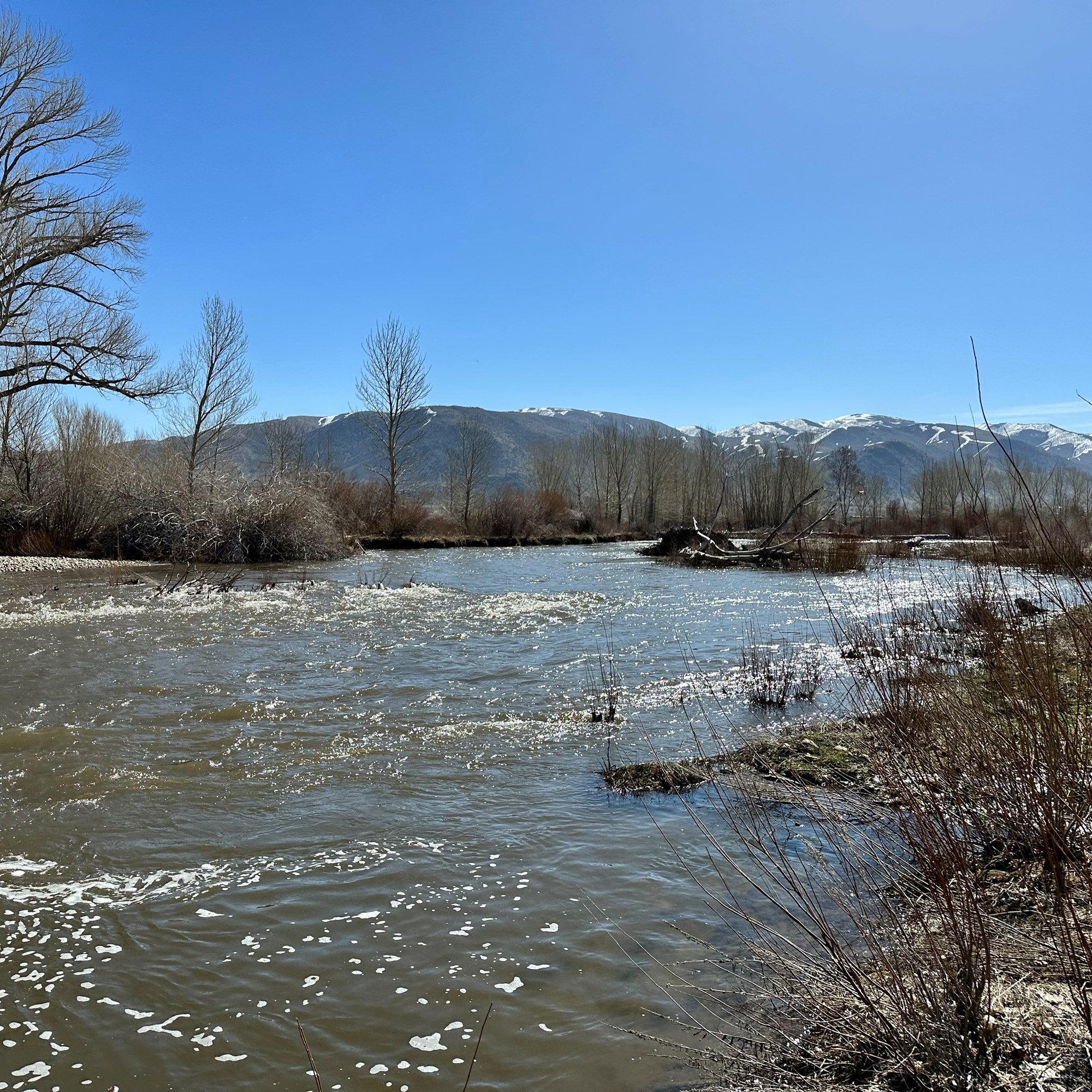How Big is Big fishing derby Walker River Photo