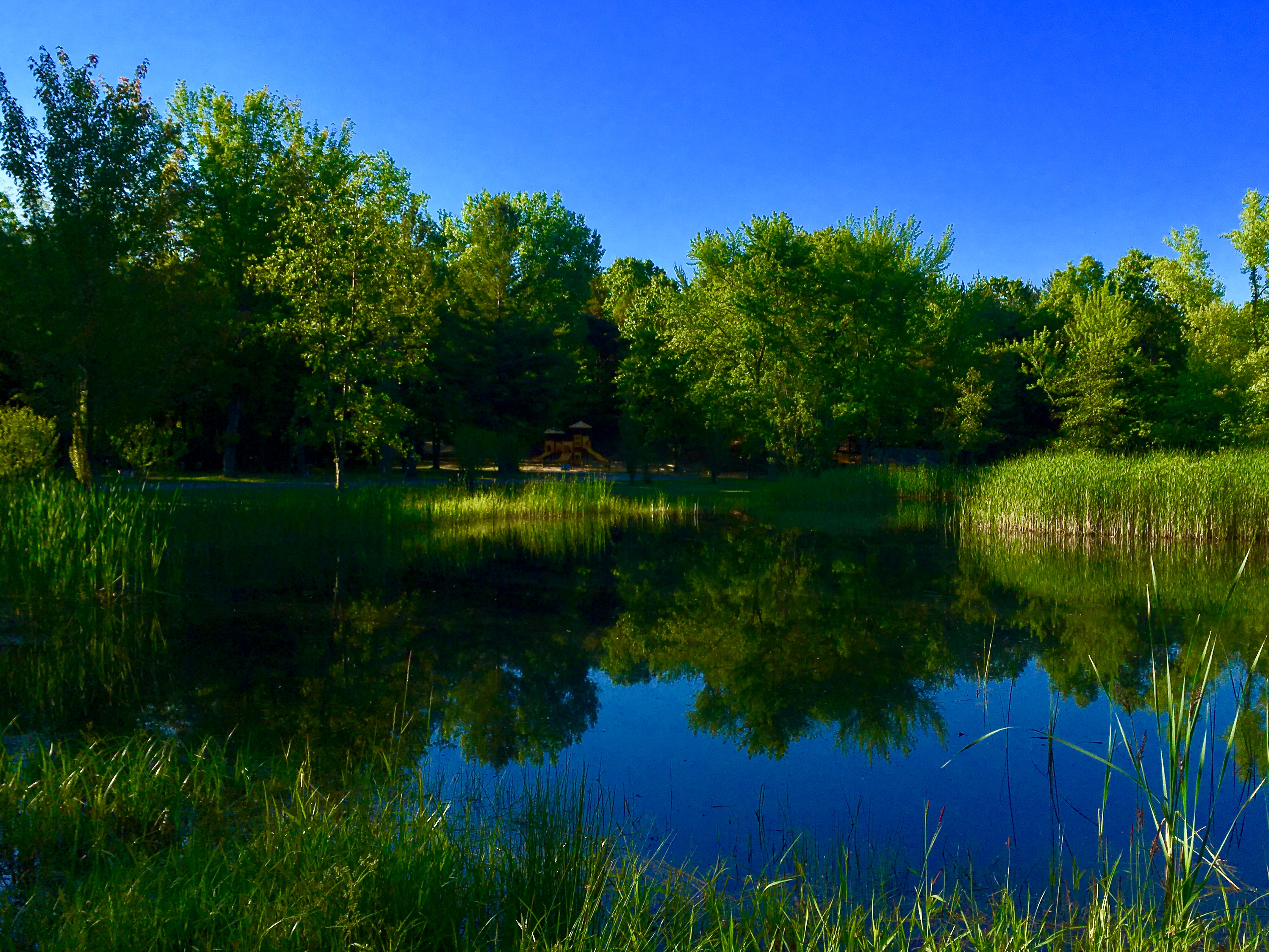 Benton Harbor, Michigan Campground Coloma / St. Joseph KOA Holiday