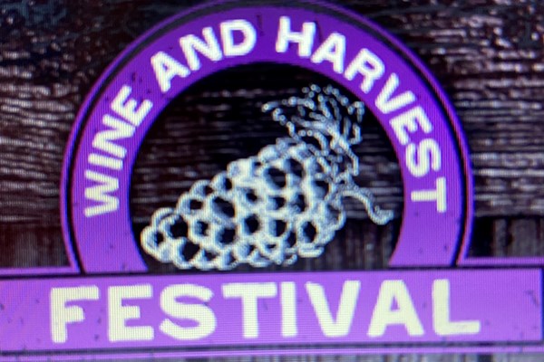 Wine and Harvest Festival Photo