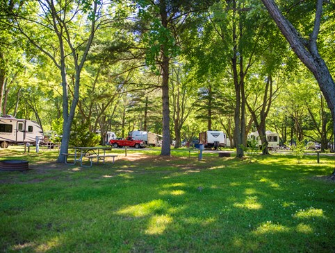 Stay 4 Nights & Save 20% Water/Electric RV sites Photo