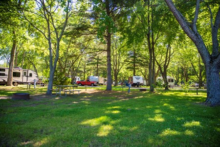 Stay 4 Nights & Save 20% Water/Electric RV sites