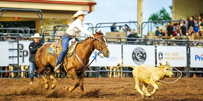 Saddle Up &amp; Stay Awhile